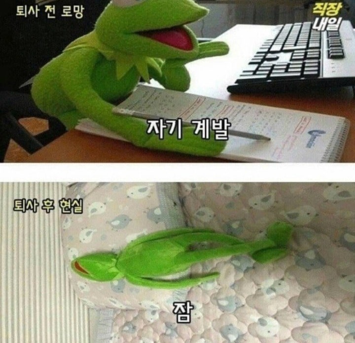 퇴사전과후의현실1.jpeg