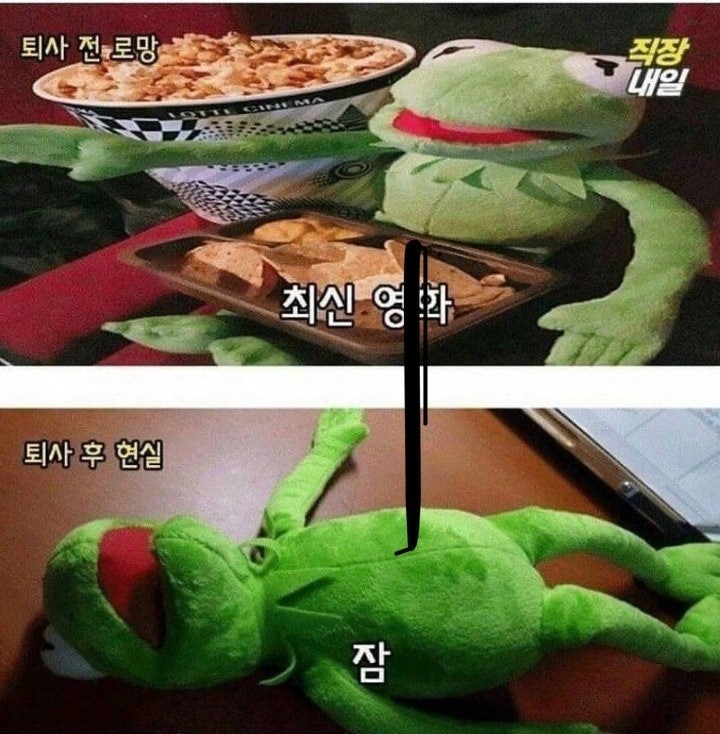 퇴사전과후의현실2.jpeg