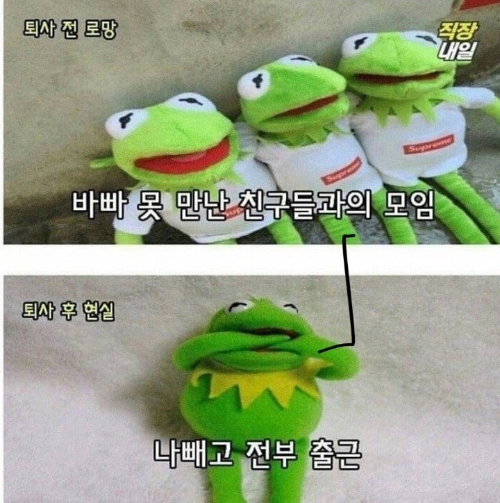 퇴사전과후의현실3.jpeg