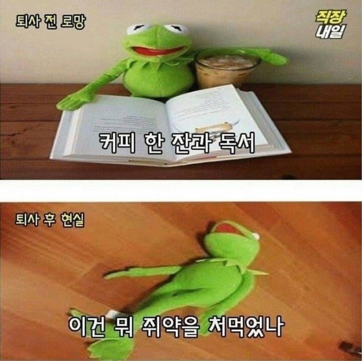 퇴사전과후의현실5.jpeg