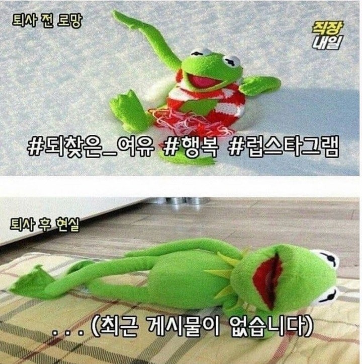 퇴사전과후의현실9.jpeg