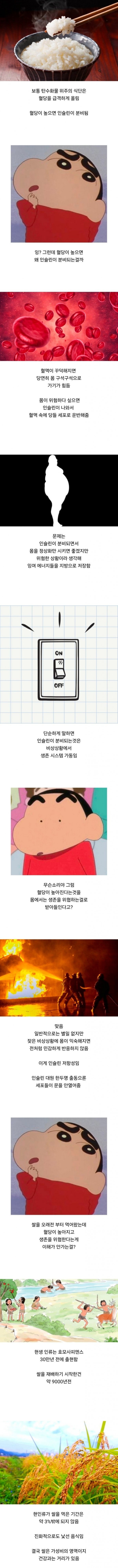 쌀이인간에게적합한음식은아닌거같아요.jpg