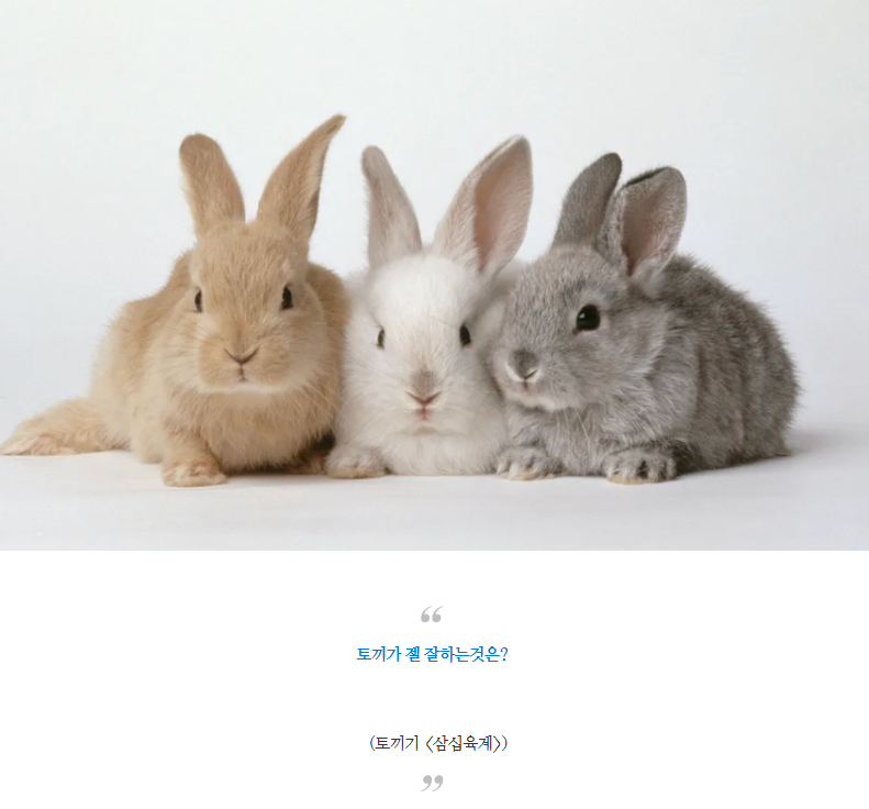 넌센스같은유머6.png