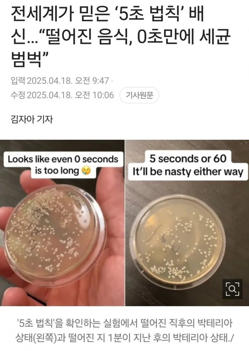 42a6519b6de3ae309b0b653b1958fb81_1761824402_4633.jpg