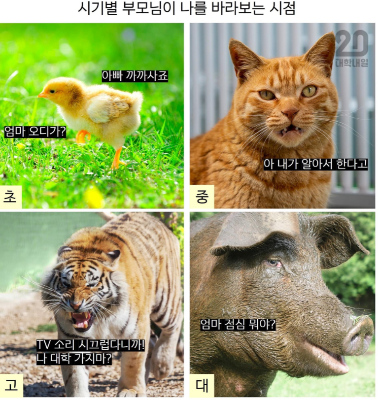 a3c5c3ffa82b0eb7af002b336fdf5524_1772722651_7616.png